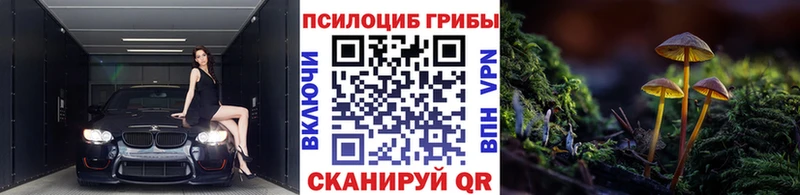 Псилоцибиновые грибы Cubensis  Купить где  Островной 